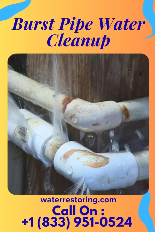 Burst Pipe Water Cleanup in Grenville, SD