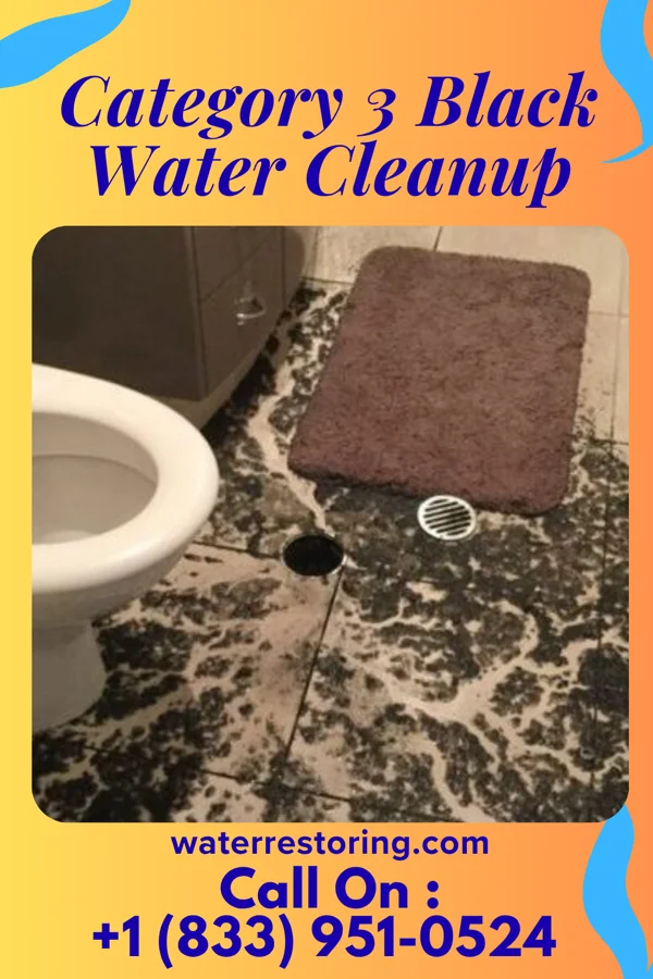 Category 3 Black Water Cleanup in Grenville, SD