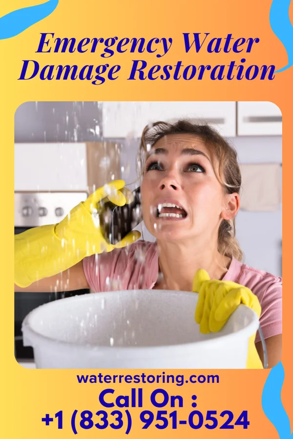 Emergency Water Damage Restoration in Grenville, SD