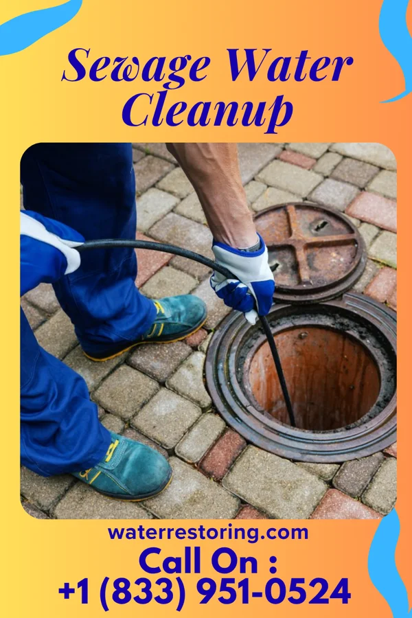 Sewage Water Cleanup in Grenville, SD